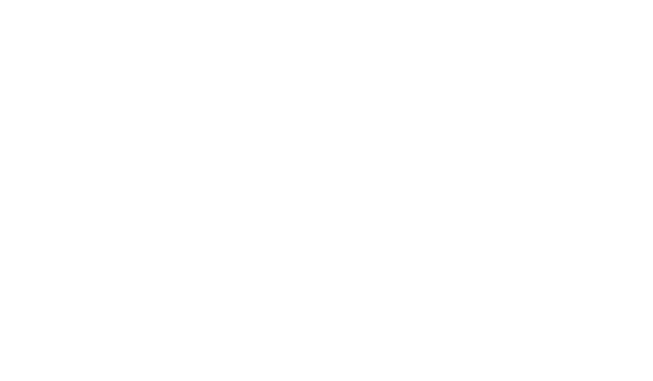 Logo blanc Le Pignon Peint